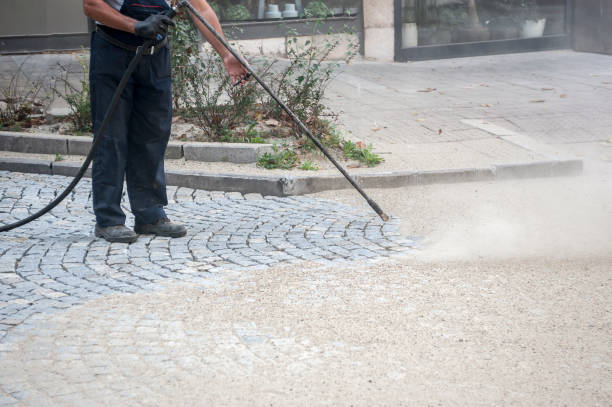 Best Fence Cleaning and Maintenance in St Michael, MN